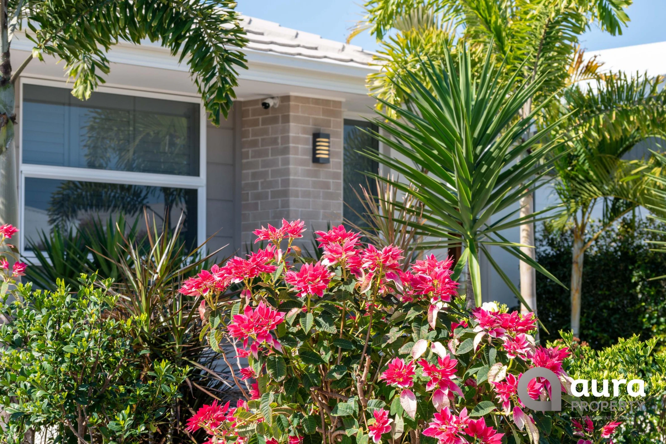 6 Teal Street, Caloundra West QLD 4551, Caloundra West - Thumbnail 3