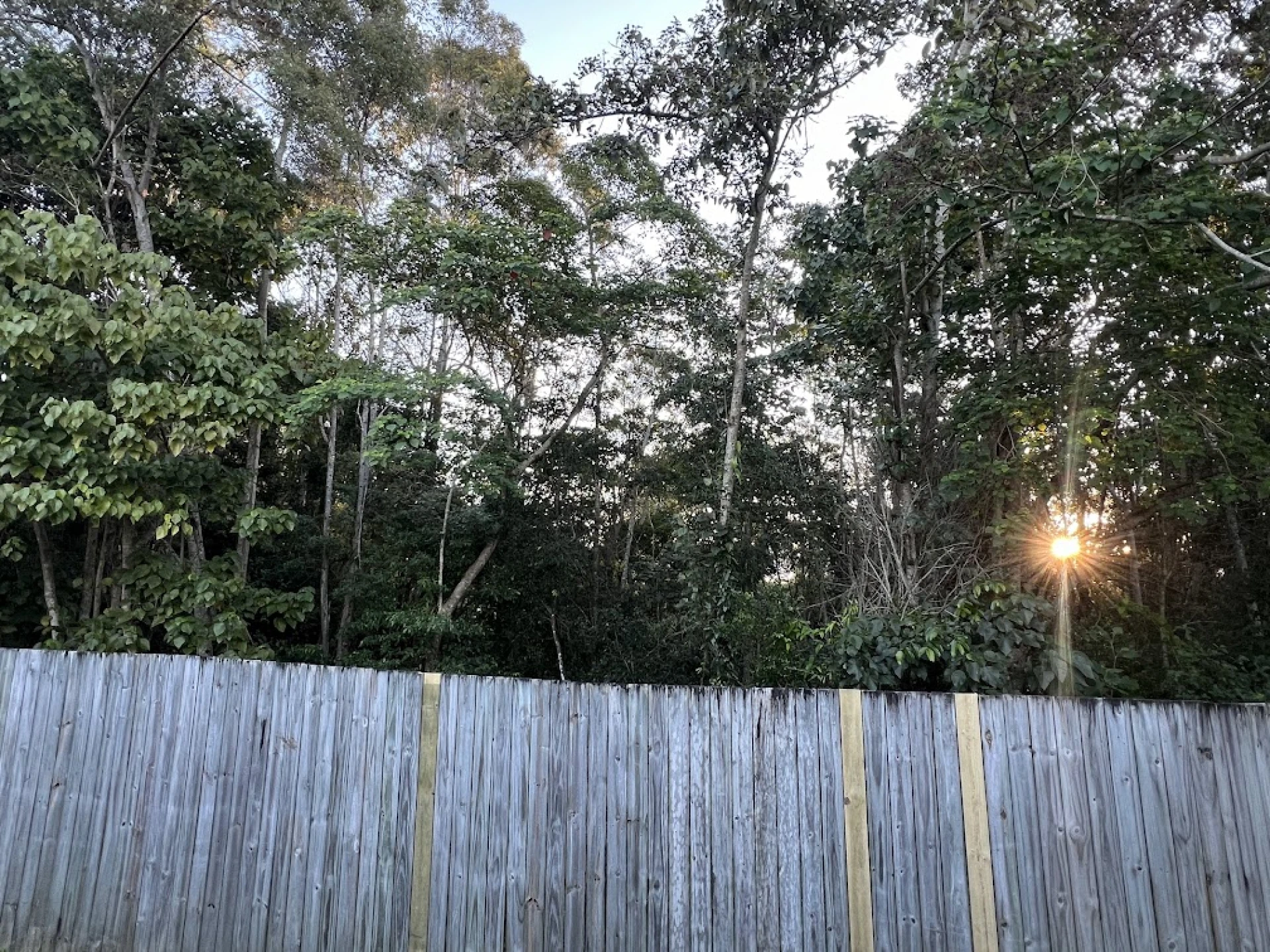 18 Expectation Circuit, NAMBOUR QLD 4560, Nambour - Thumbnail 4