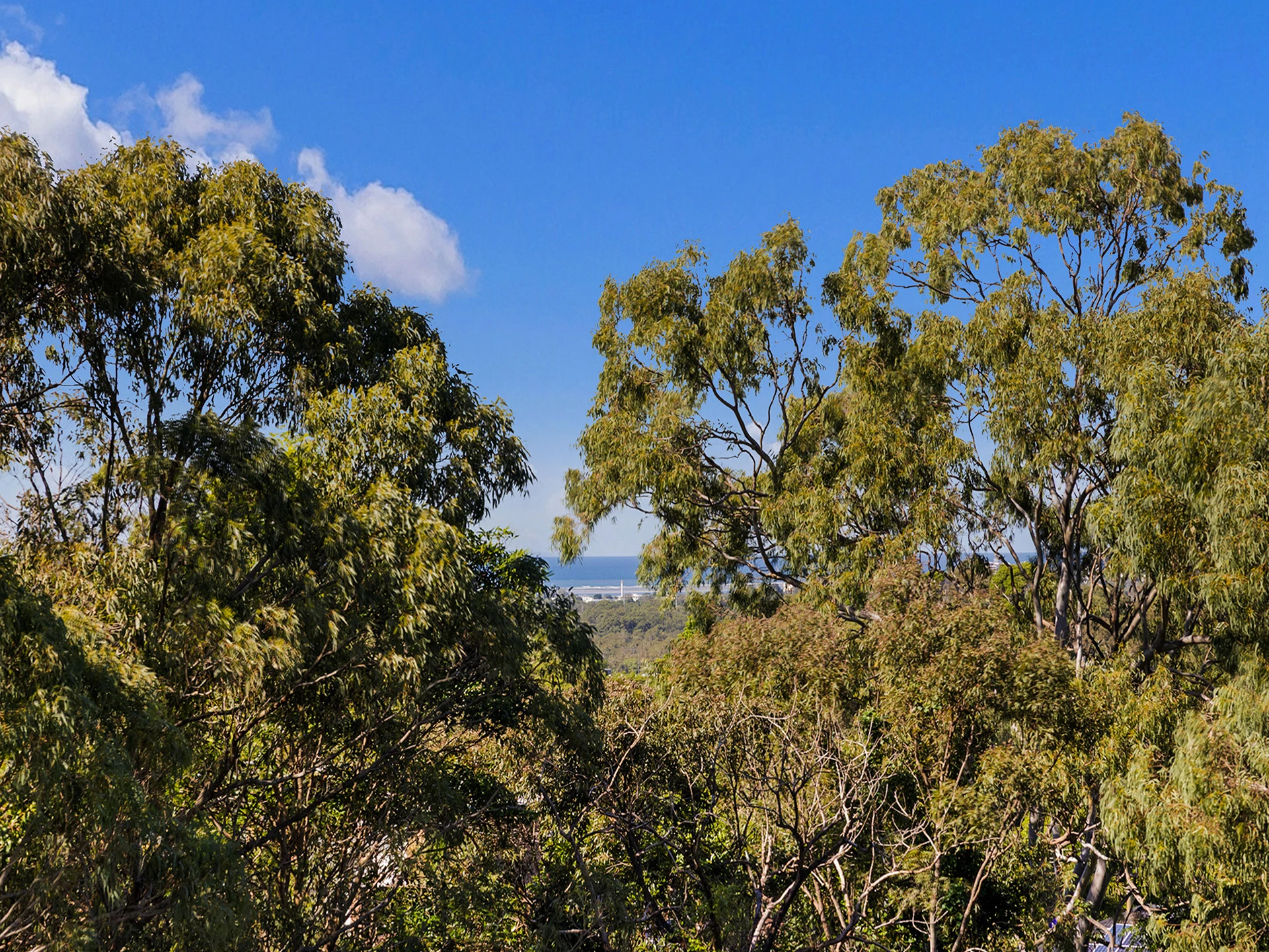 94 Sugar Bag Road, Little Mountain QLD 4551, Little Mountain - Thumbnail 3