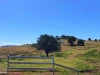 Lot 2 Bunya Mountains Maclagan Road, MACLAGAN QLD 4352, Maclagan - Thumbnail 5