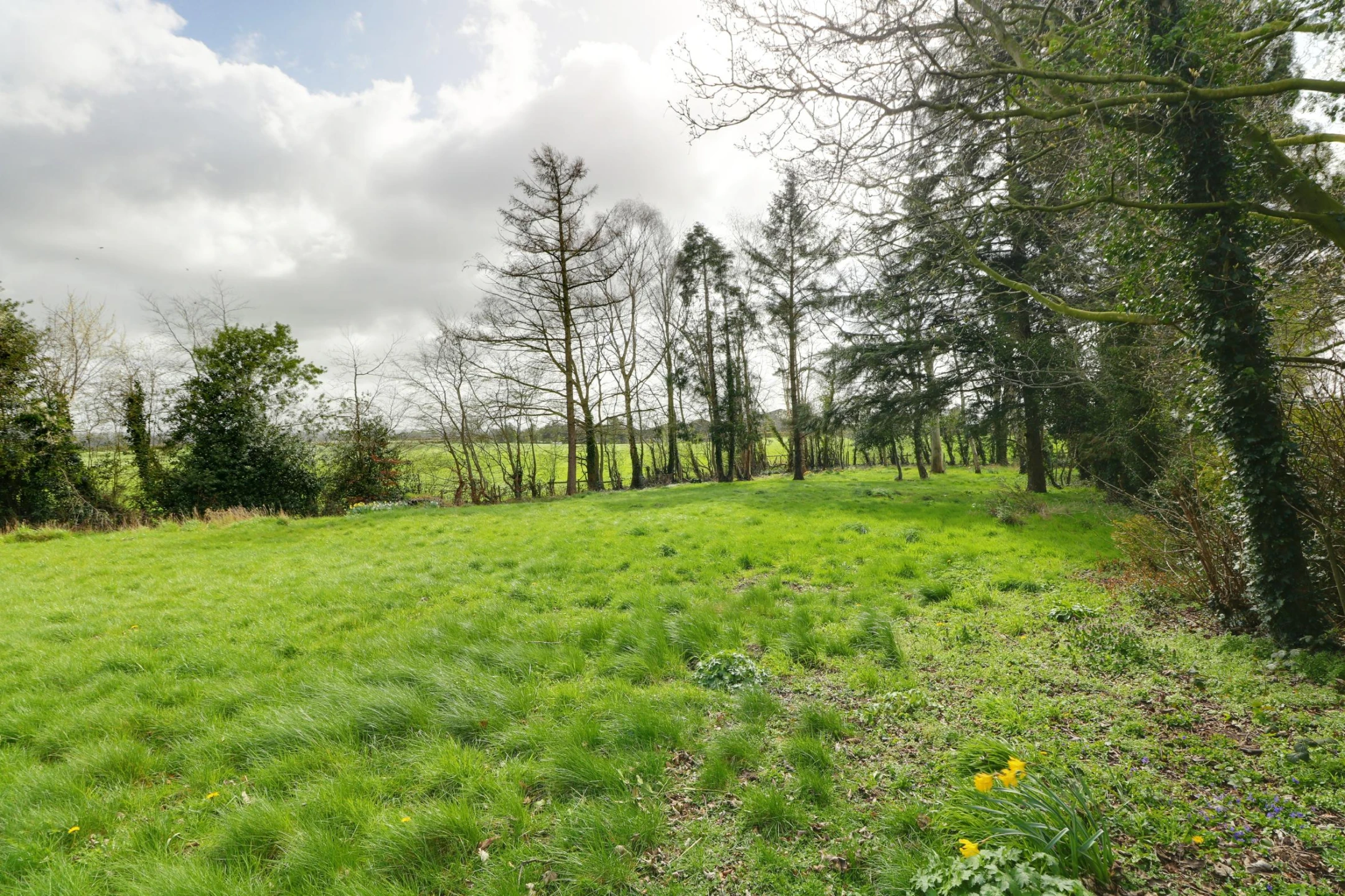 Heatley Lane, Nantwich