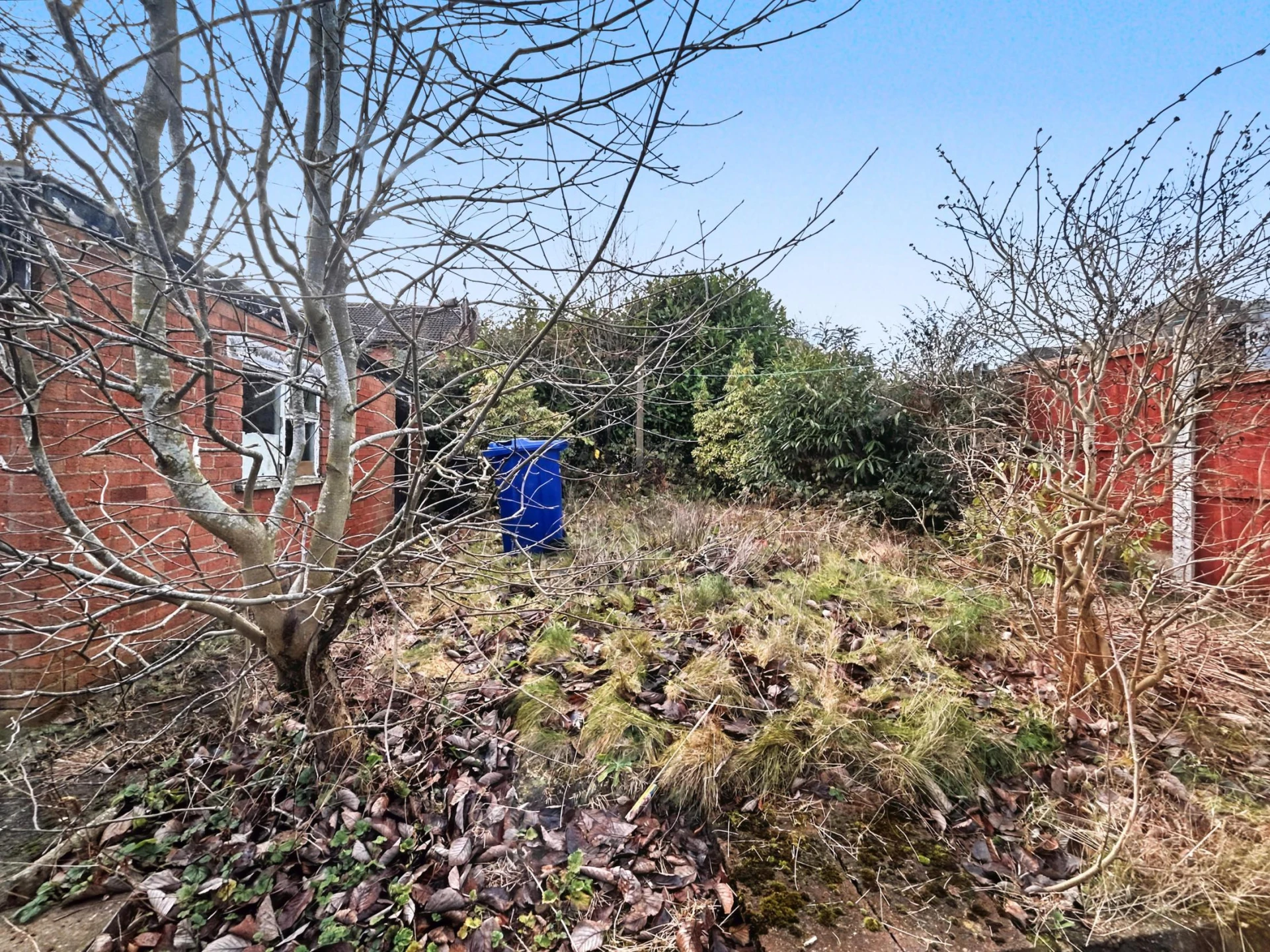 Haven Grove, Newcastle